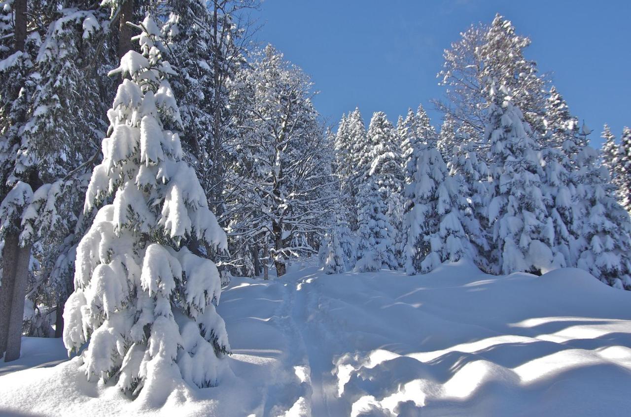מלאו Apartment "Johann" Aktivurlaub Im Bregenzerwald מראה חיצוני תמונה