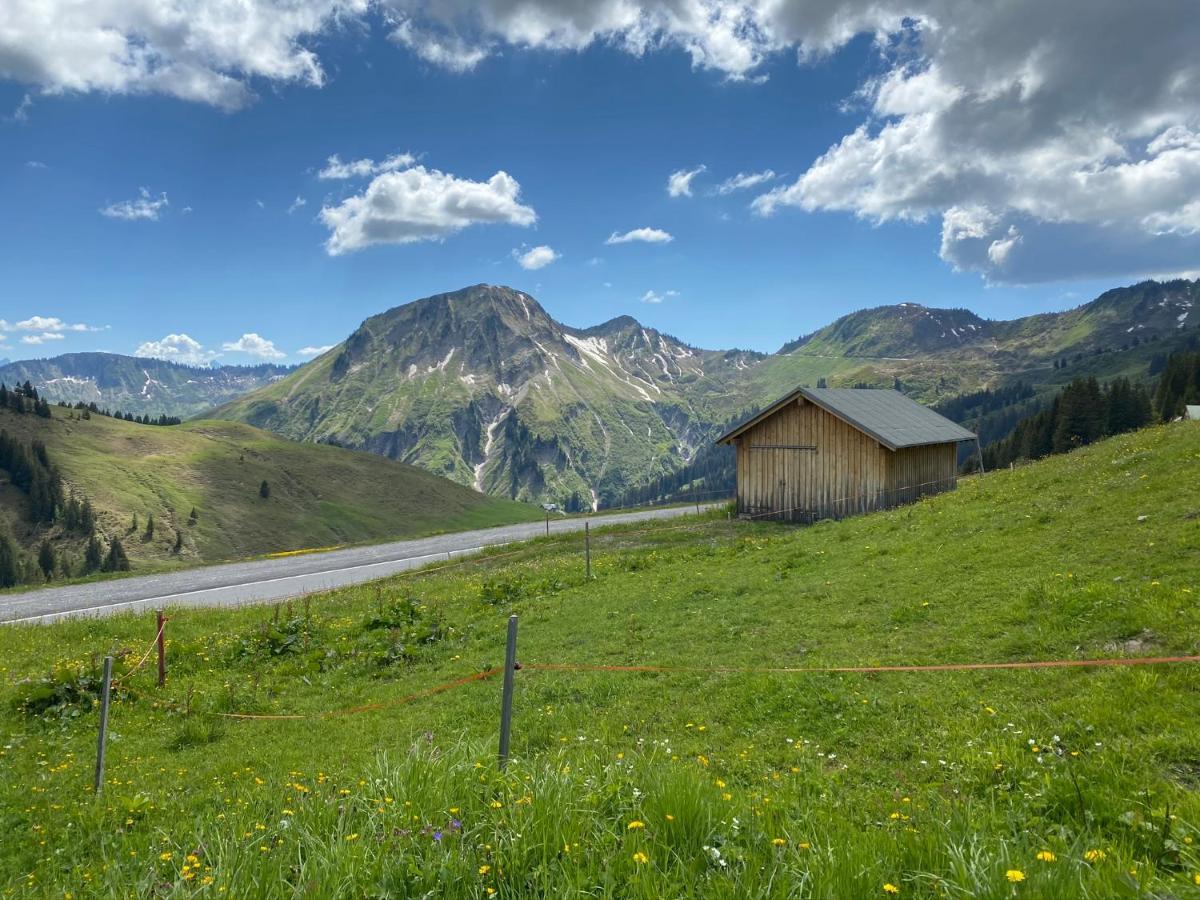 מלאו Apartment "Johann" Aktivurlaub Im Bregenzerwald מראה חיצוני תמונה